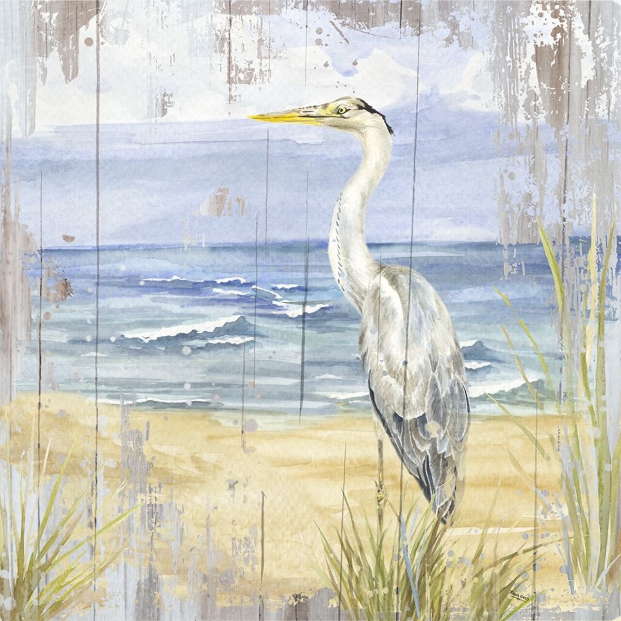 Birds of the Coast Rustic II Poster Print by Tara Reed - Item # VARPDXRB13050TR